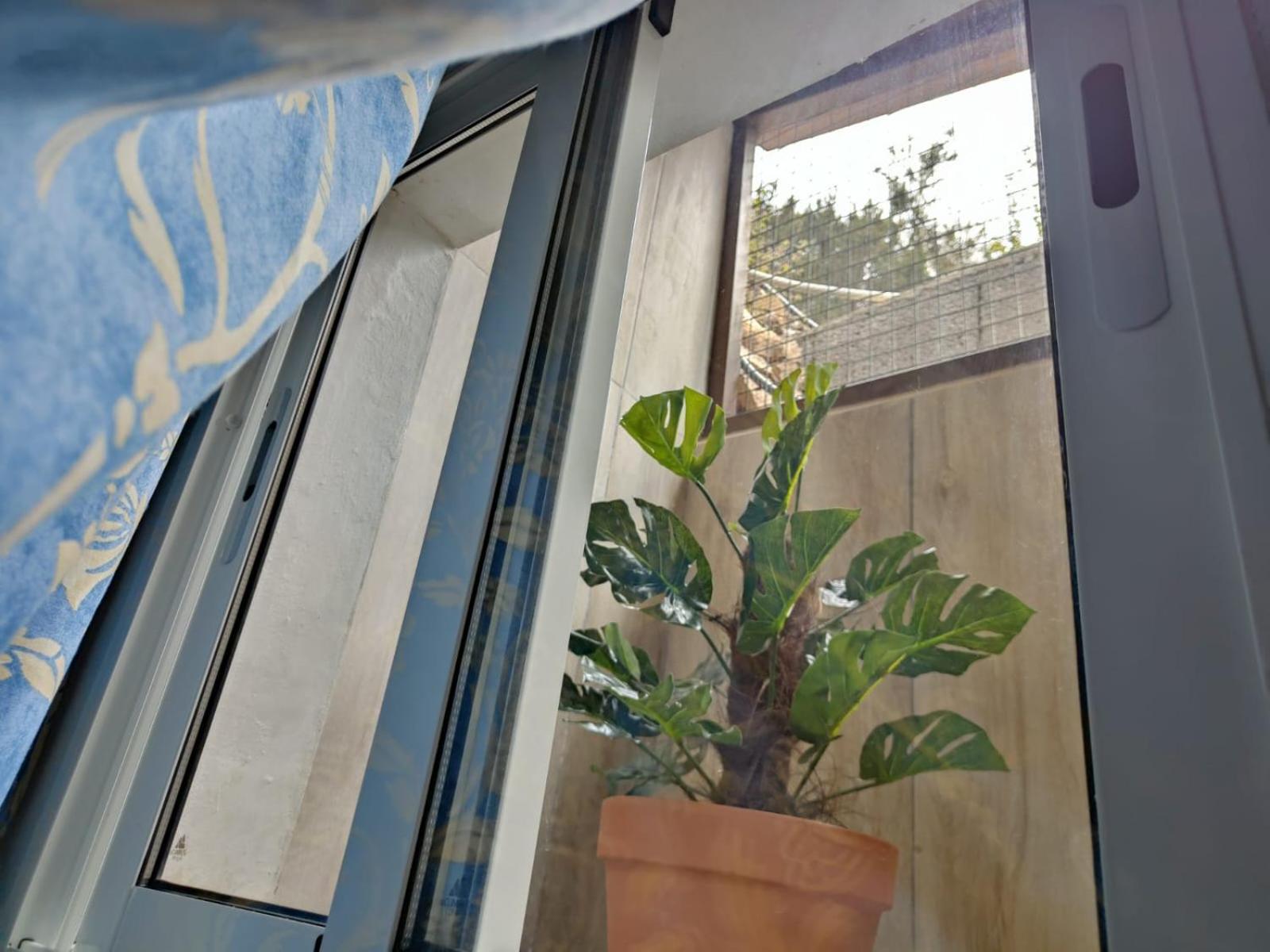 Casa Vacacional Lupe Διαμέρισμα Vallehermoso Εξωτερικό φωτογραφία